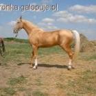 Fotka nr 5 z 7