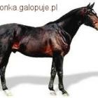 Fotka nr 4 z 7