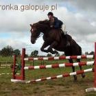 Fotka nr 1 z 4
