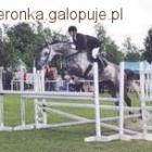 Fotka nr 1 z 3
