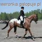 Fotka nr 2 z 3