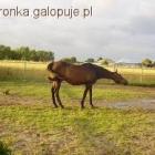 Fotka nr 2 z 3