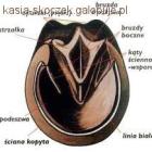 Kopyto konia