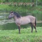 zdjęcie nr 17