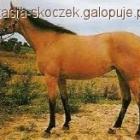 zdjęcie nr 10