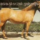 zdjęcie nr 13