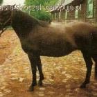 zdjęcie nr 19