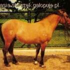 zdjęcie nr 16
