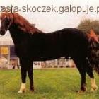 zdjęcie nr 8