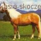 6. Jasnokasztanowata