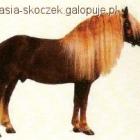 zdjęcie nr 20