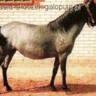zdjęcie nr 22