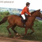 Fotka nr 1 z 2