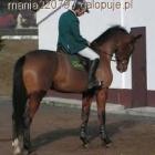 Fotka nr 1 z 4