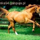 Fotka nr 3 z 4