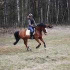 no i galop :)