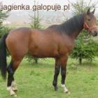 Fotka nr 1 z 3