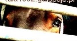 spójrz mu w oczy i powiedz mu że to Ciebie nie dotyczy