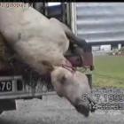 zdjęcie z filmy. Oglądałam ten obraz, śnił mi sie jeszcze przez miesiąc... tego widoku...