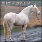 albino