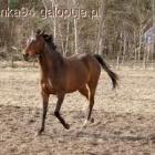 zdjęcie nr 10