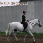 Fotka nr 2 z 4