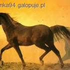 Fotka nr 3 z 4