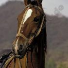 Fotka nr 1 z 3
