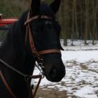 Parolek :*