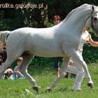 Fotka nr 1 z 4