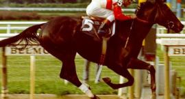 Ruffian