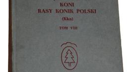 Fotka nr 0 z 7