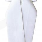 Plastron