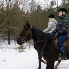 zdjęcie nr 8