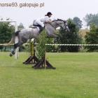 Fotka nr 4 z 5