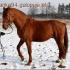 Fotka nr 2 z 4