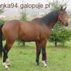 Fotka nr 1 z 4