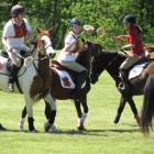 Polocrosse