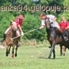 Fotka nr 2 z 5