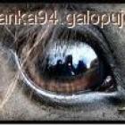 Zapalenie spojówki