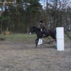 Fotka nr 2 z 7