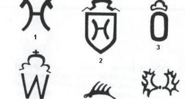 obrazek1