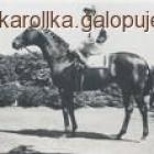 zdjęcie nr 7