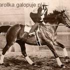 Seabiscuit przed Wielkim pojednkiem pod G.Wolfem