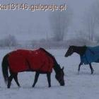 Fotka nr 1 z 10