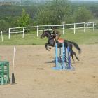 Tripelek :)