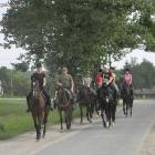zdjęcie nr 9