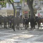 przerwa na rynku