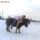 Olinka na oklep