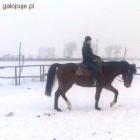 Olga na Hidusiu